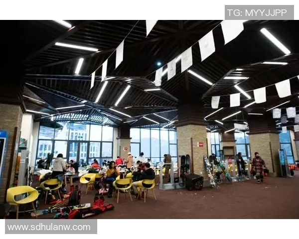 重庆网球队在联合会杯中的崛起与成长历程全景回顾