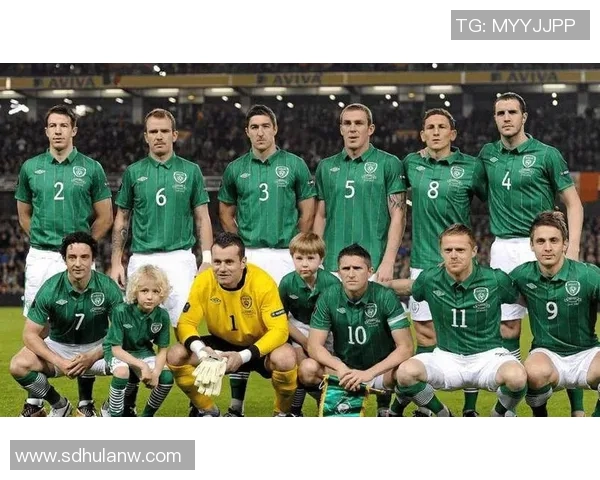 北爱尔兰与圣马力的精彩对决分析与赛事前瞻 北爱尔兰与圣马力的精彩对决分析与赛事前瞻